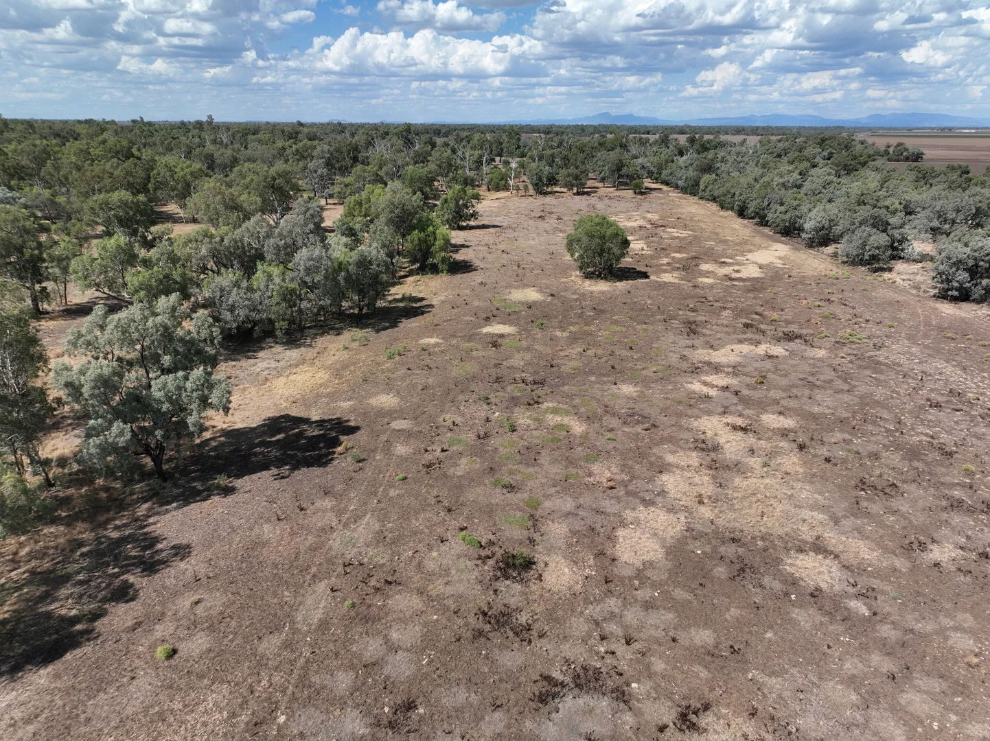Additional image 32 of 23028 Kamilaroi Highway, Wee Waa NSW 2388