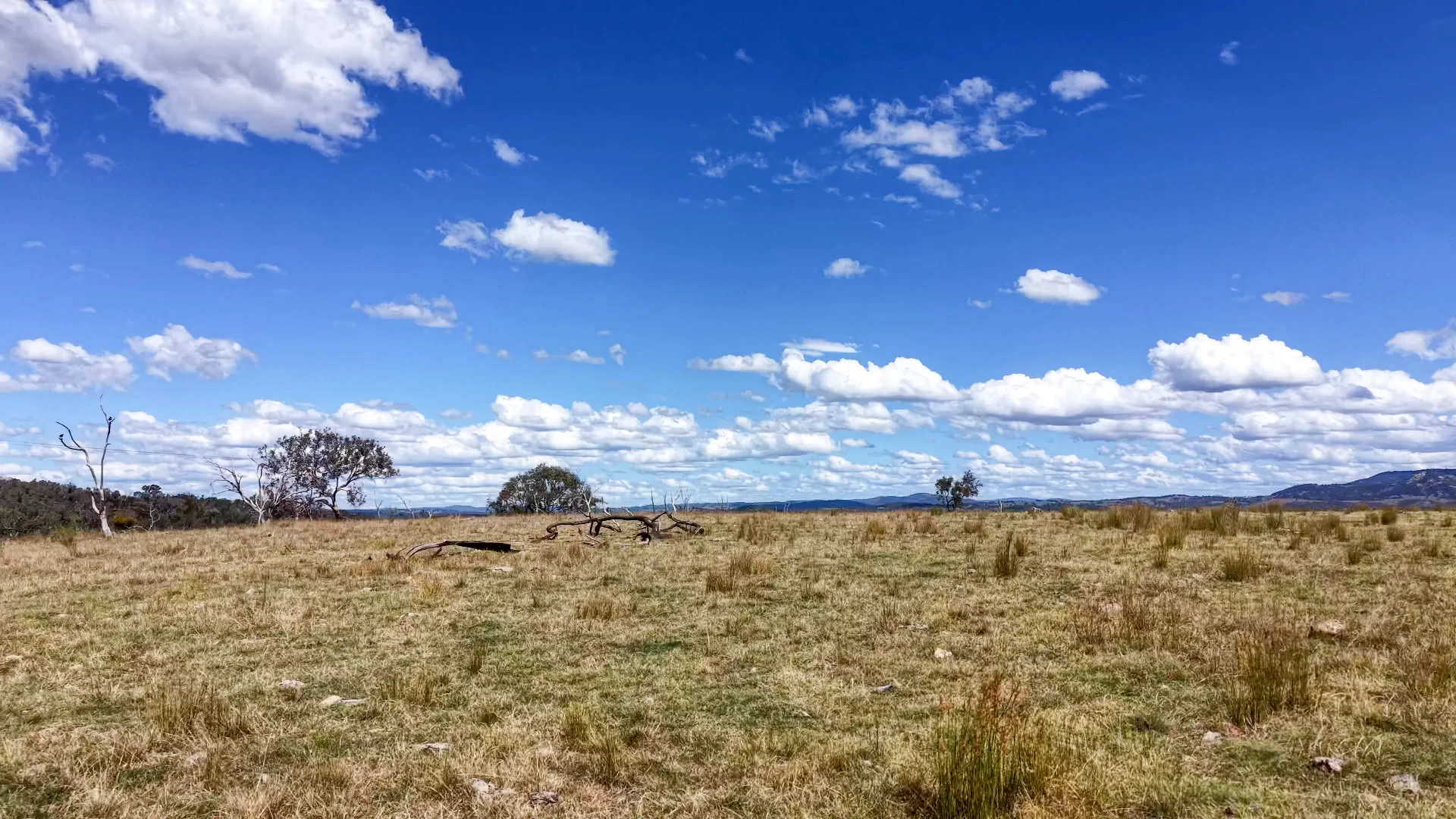 Additional image 5 of Lot 570 Tarban Road, Tenterfield NSW 2372