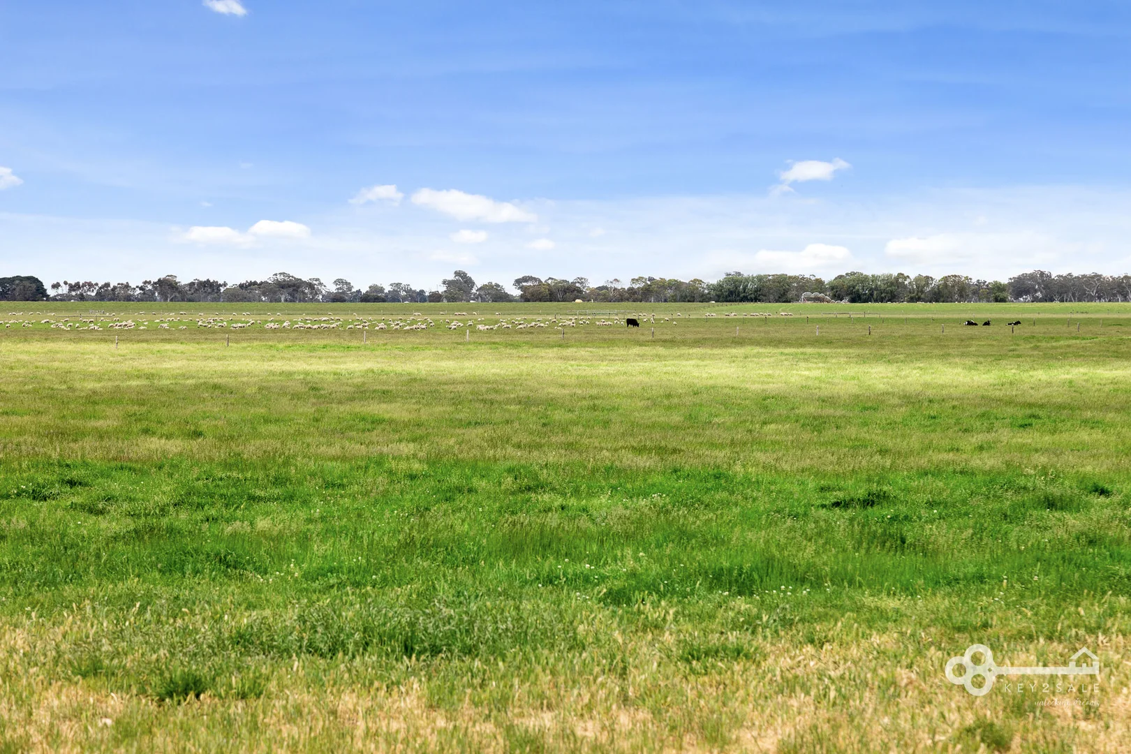 Additional image 15 of 560 McKenzie Road, Mingbool SA 5291