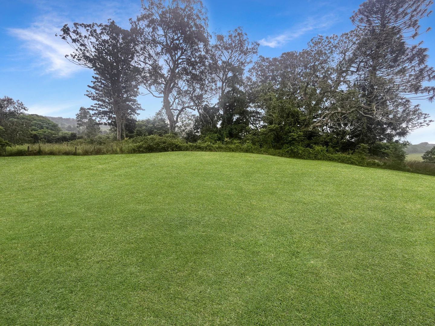 Additional image 29 of 124 Homestead Road, Kilgra NSW 2474