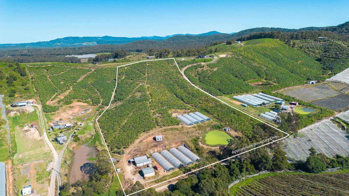 Additional image 2 of 20 Puhos Road, Sandy Beach NSW 2456