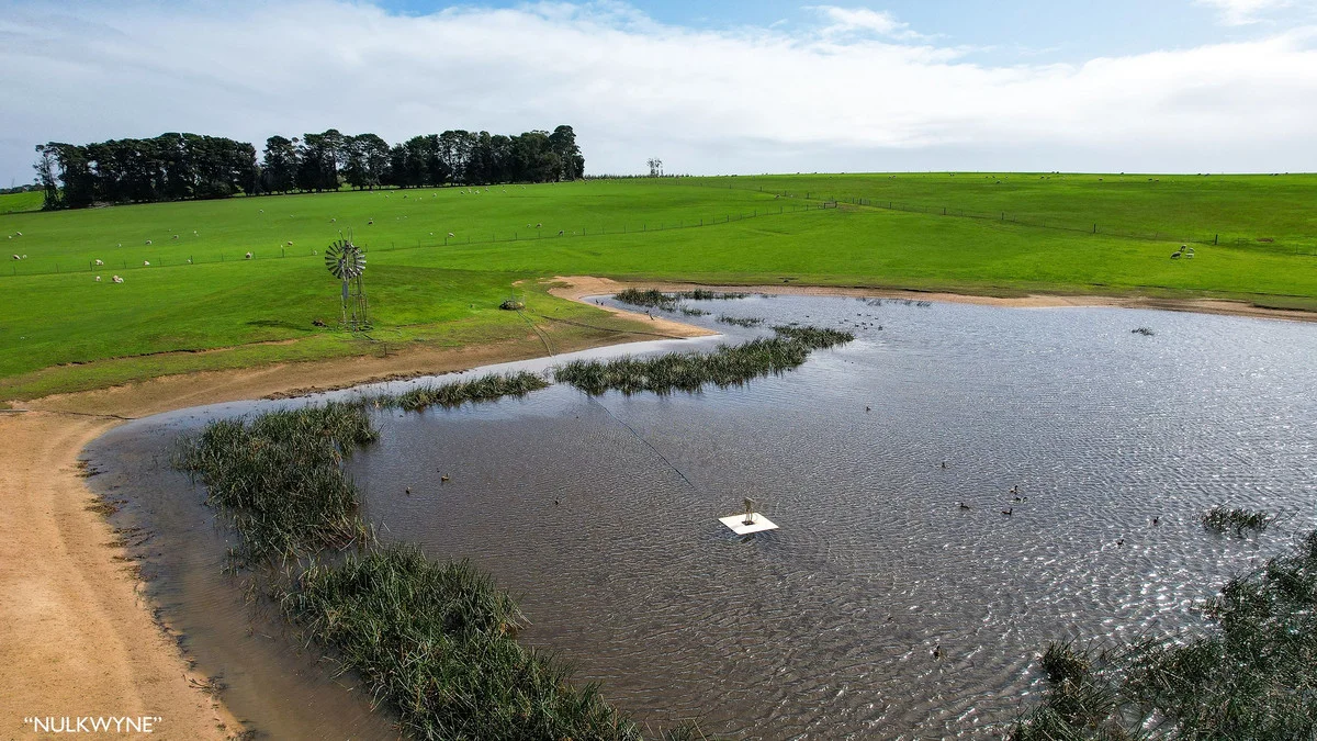 Additional image 4 of 3960 Dartmoor-Hamilton Road, Grassdale VIC 3302