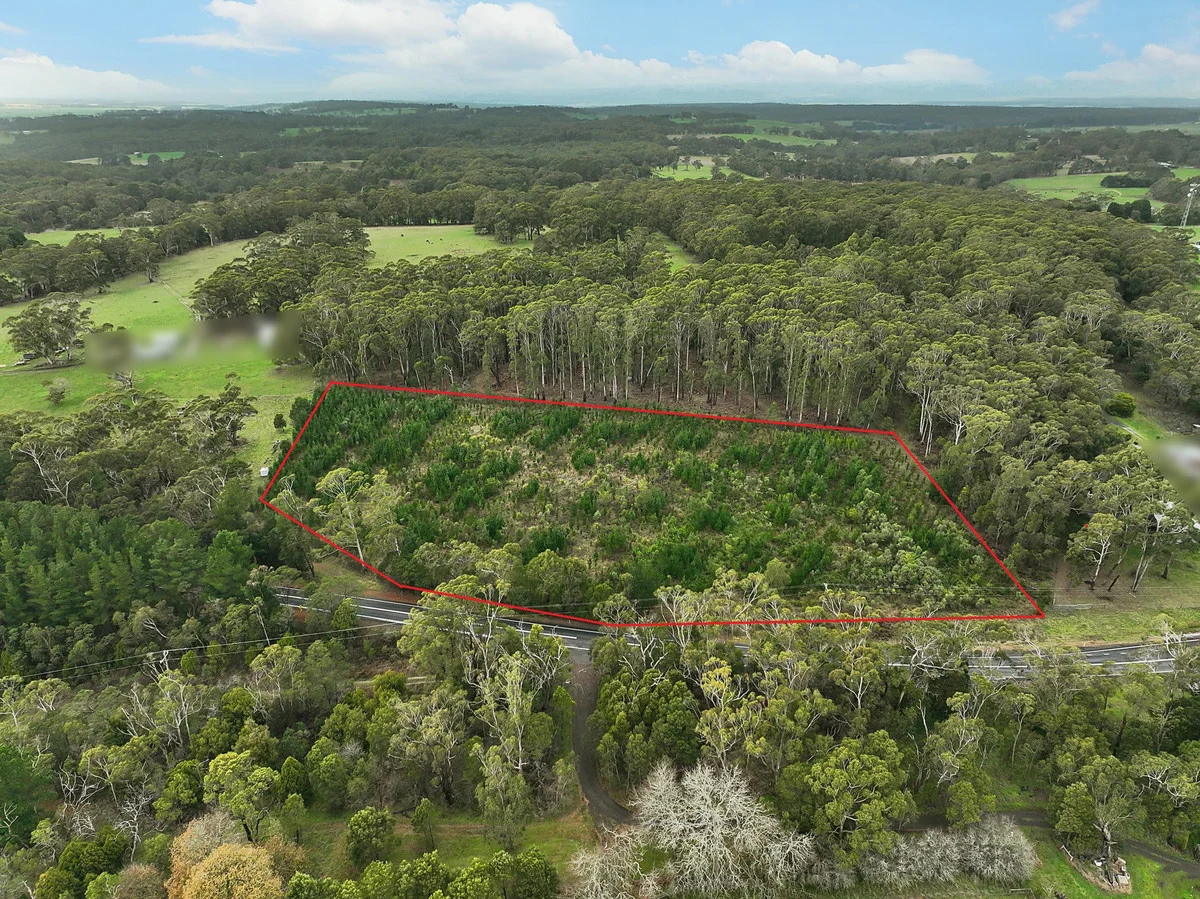 Additional image 2 of 380 & 395 Colac-Lavers Hill Road, Barongarook VIC 3249