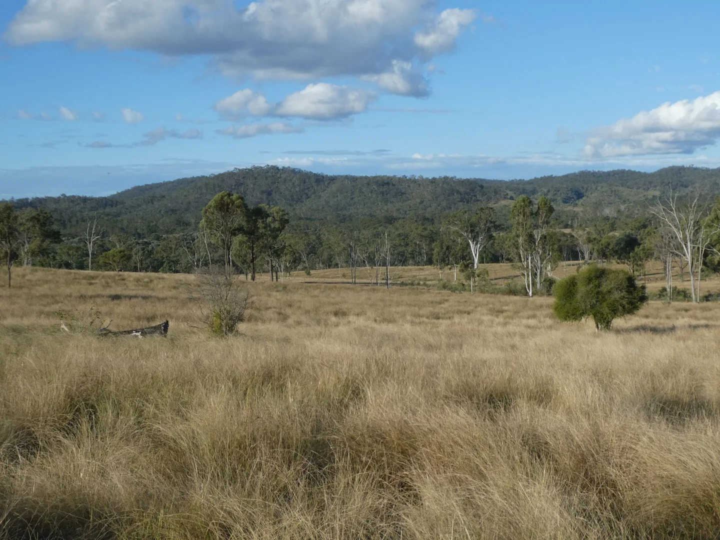 Additional image 18 of Lot 24 Gayndah Mount Perry Road, Mount Steadman QLD 4625