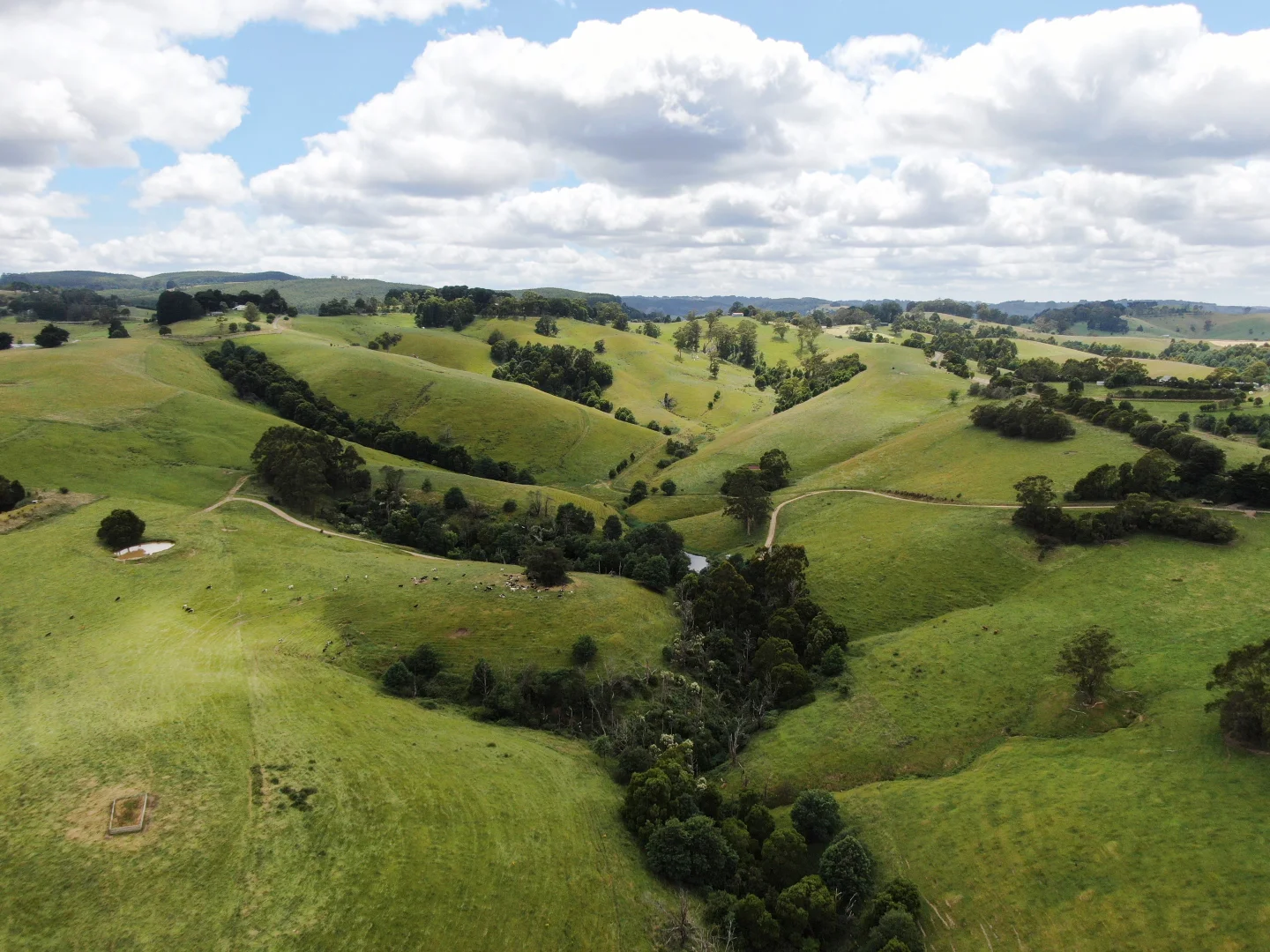 Additional image 4 of 10 Rowes Road, Mount Eccles VIC 3953