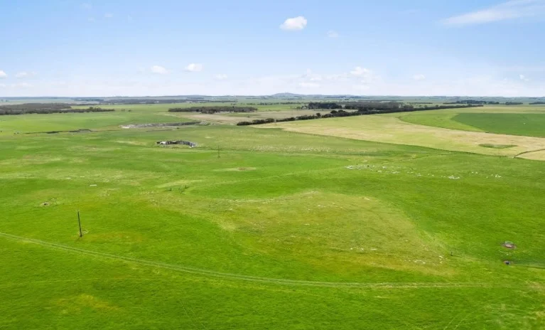 Additional image 2 of 687 Mount Salt Road, Mount Schank SA 5291