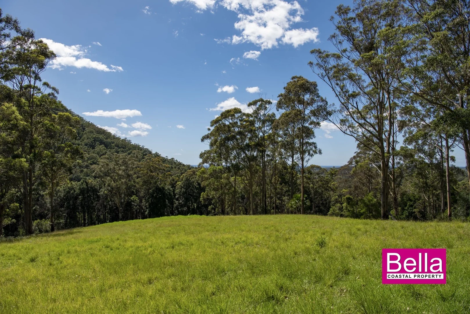Additional image 4 of Lot 1 Monkey Mountain Road, Termeil NSW 2539