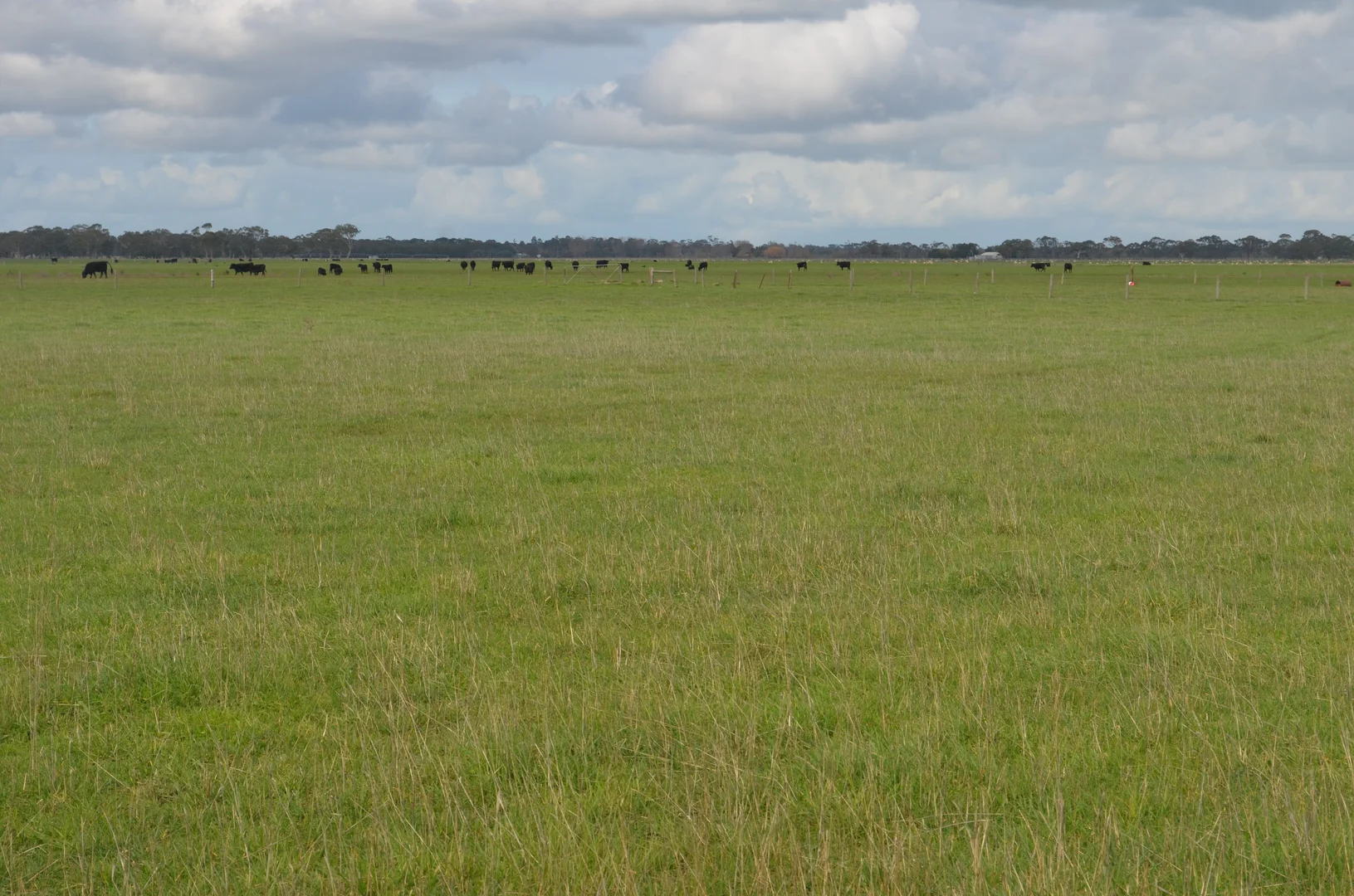 Additional image 10 of 1805 Manga Road, Kalangadoo SA 5278