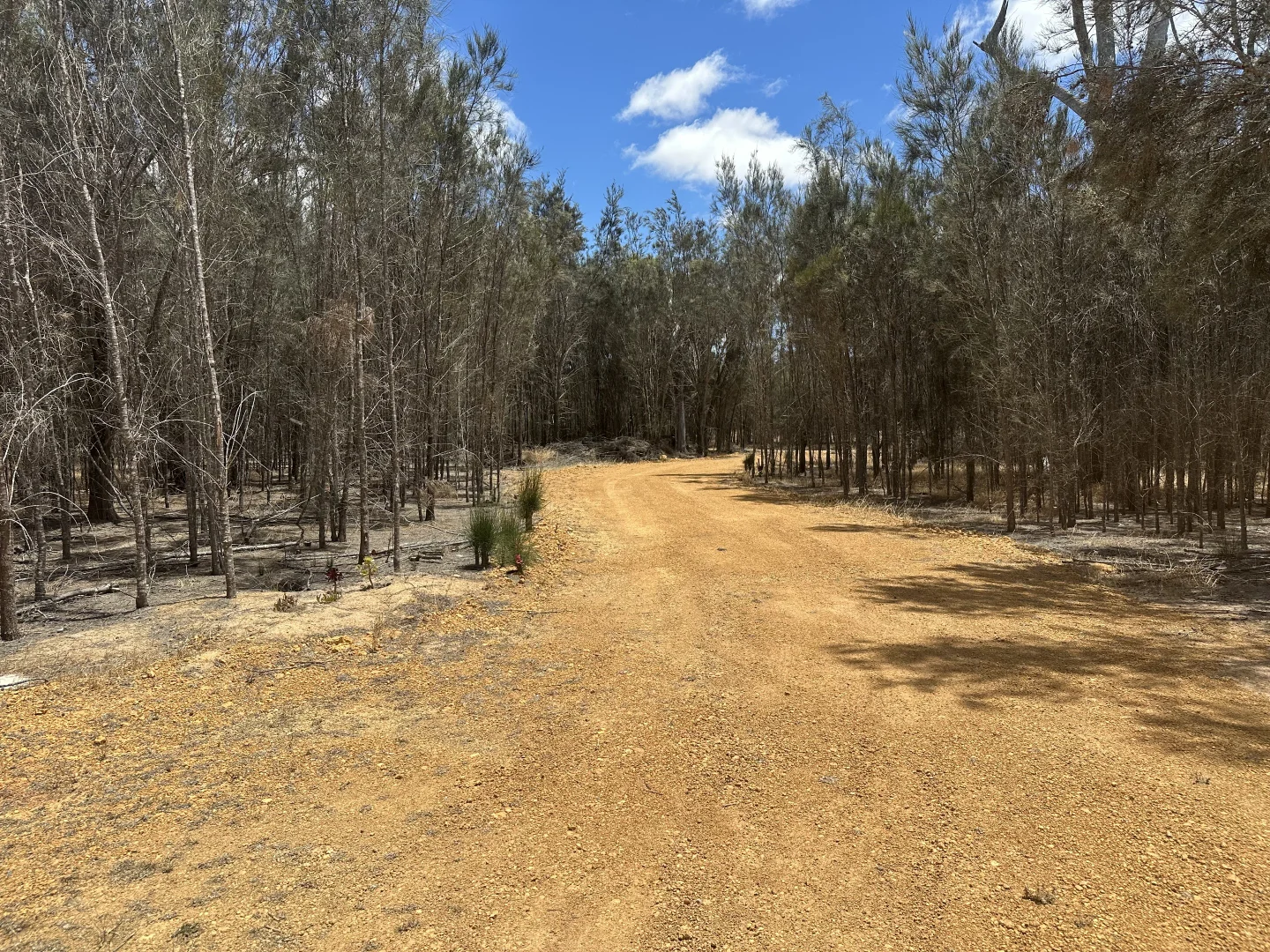 Additional image 12 of Level Lot/300 Great Southern Highway, Woodanilling WA 6316