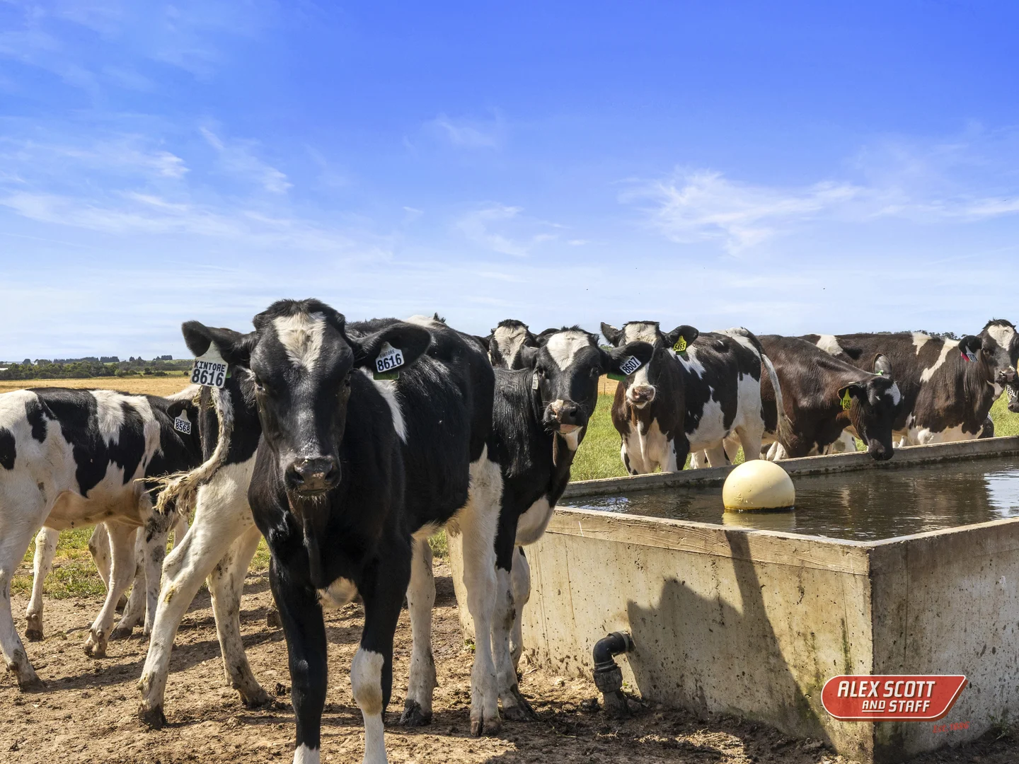 Additional image 28 of 765 Korumburra South Road, Korumburra South VIC 3950