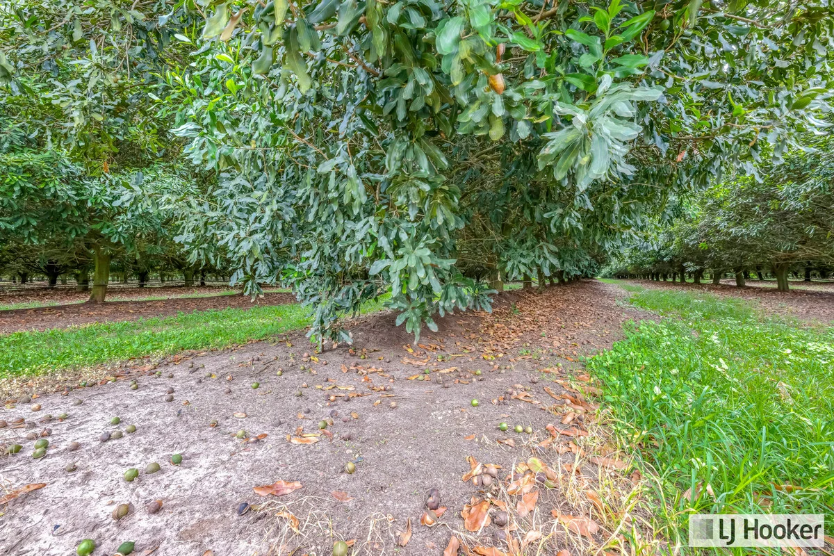 Additional image 4 of 214 Thomasens Road, Alloway QLD 4670