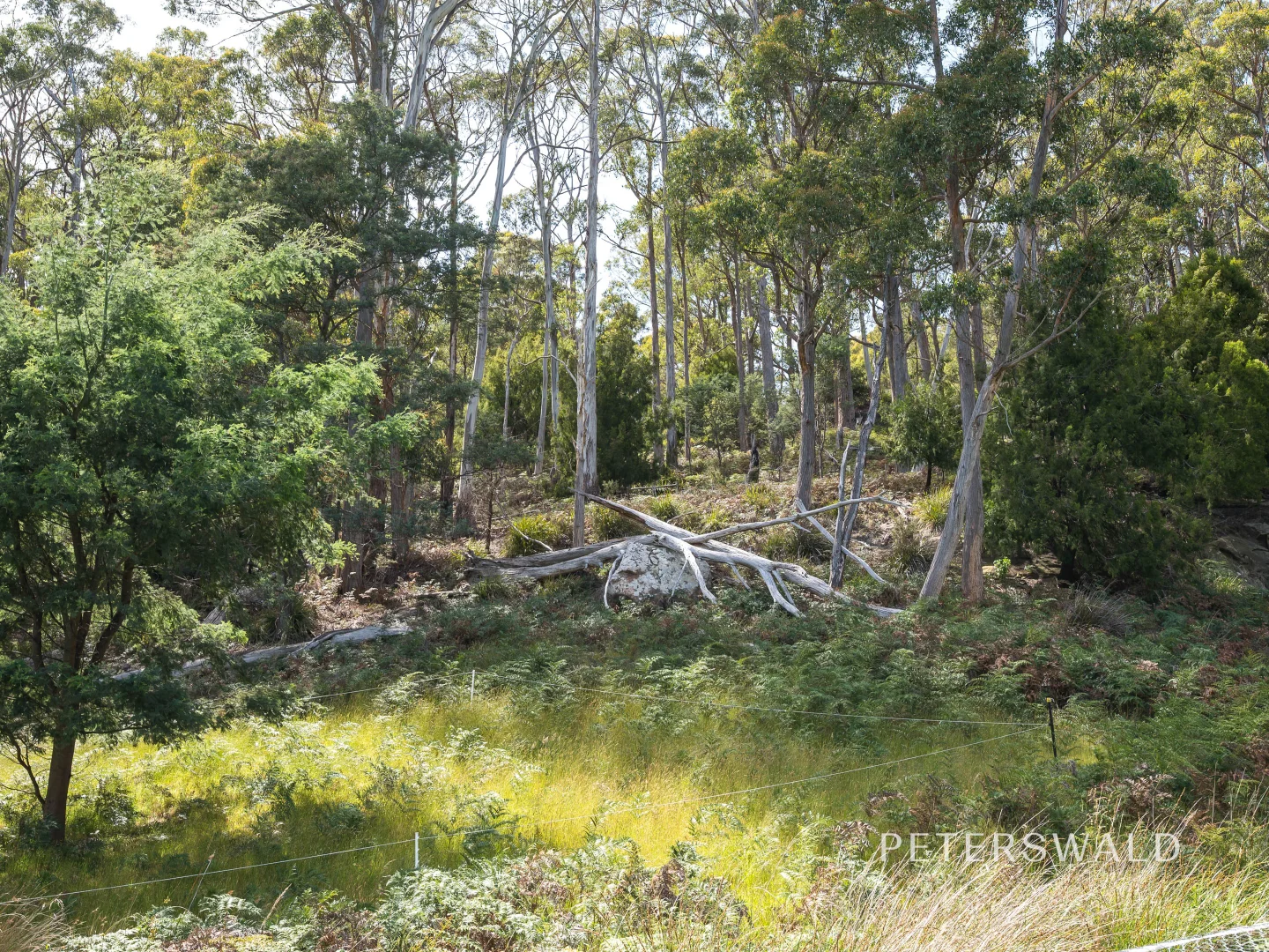 Additional image 28 of 109 Jones Road, Premaydena TAS 7185