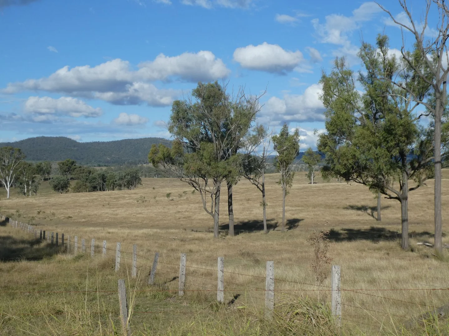 Additional image 23 of Lot 24 Gayndah Mount Perry Road, Mount Steadman QLD 4625