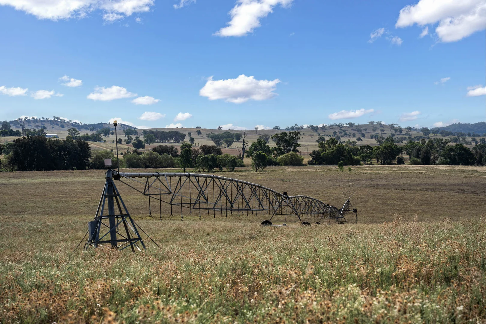 Additional image 5 of 323 Tinja Lane, Mudgee NSW 2850