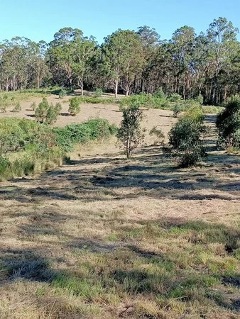 Additional image 14 of 702 Comboyne Road, Byabarra NSW 2446