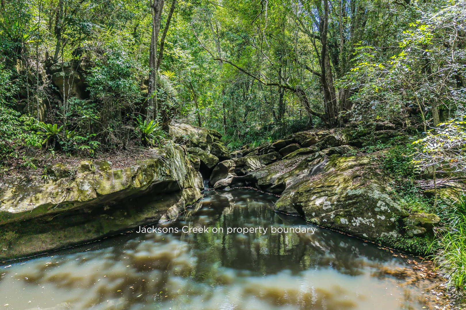 Additional image 2 of 270 Zara Road, Zara NSW 2484