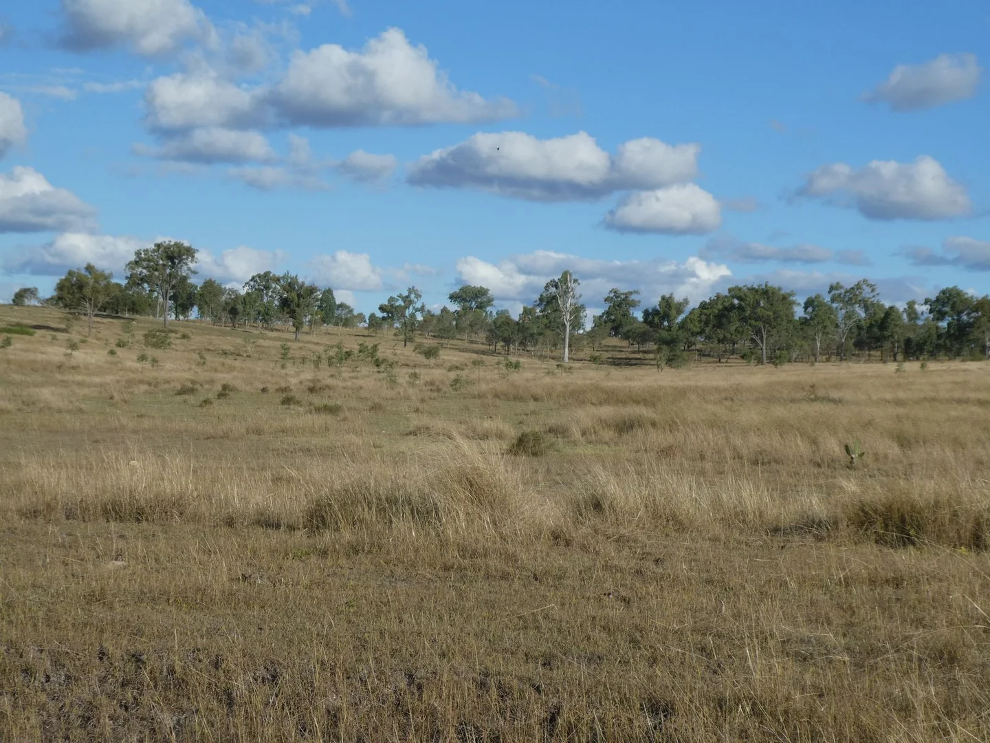 Additional image 16 of Lot 24 Gayndah Mount Perry Road, Mount Steadman QLD 4625