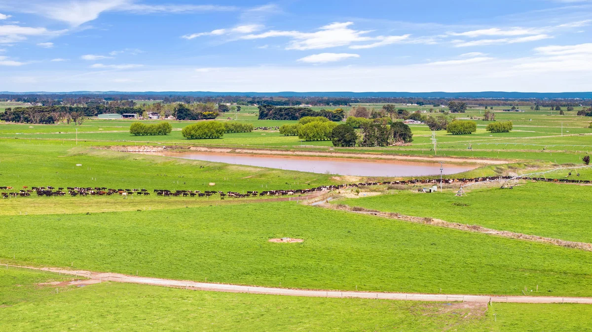 Additional image 16 of 95 Vardys Road, Riverslea VIC 3860