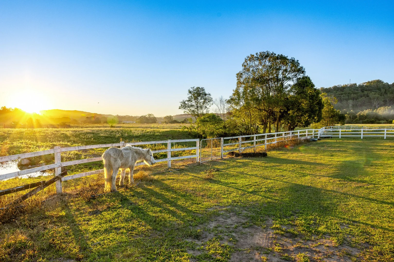Additional image 19 of 163-187 Petrie Creek Road, Rosemount QLD 4560
