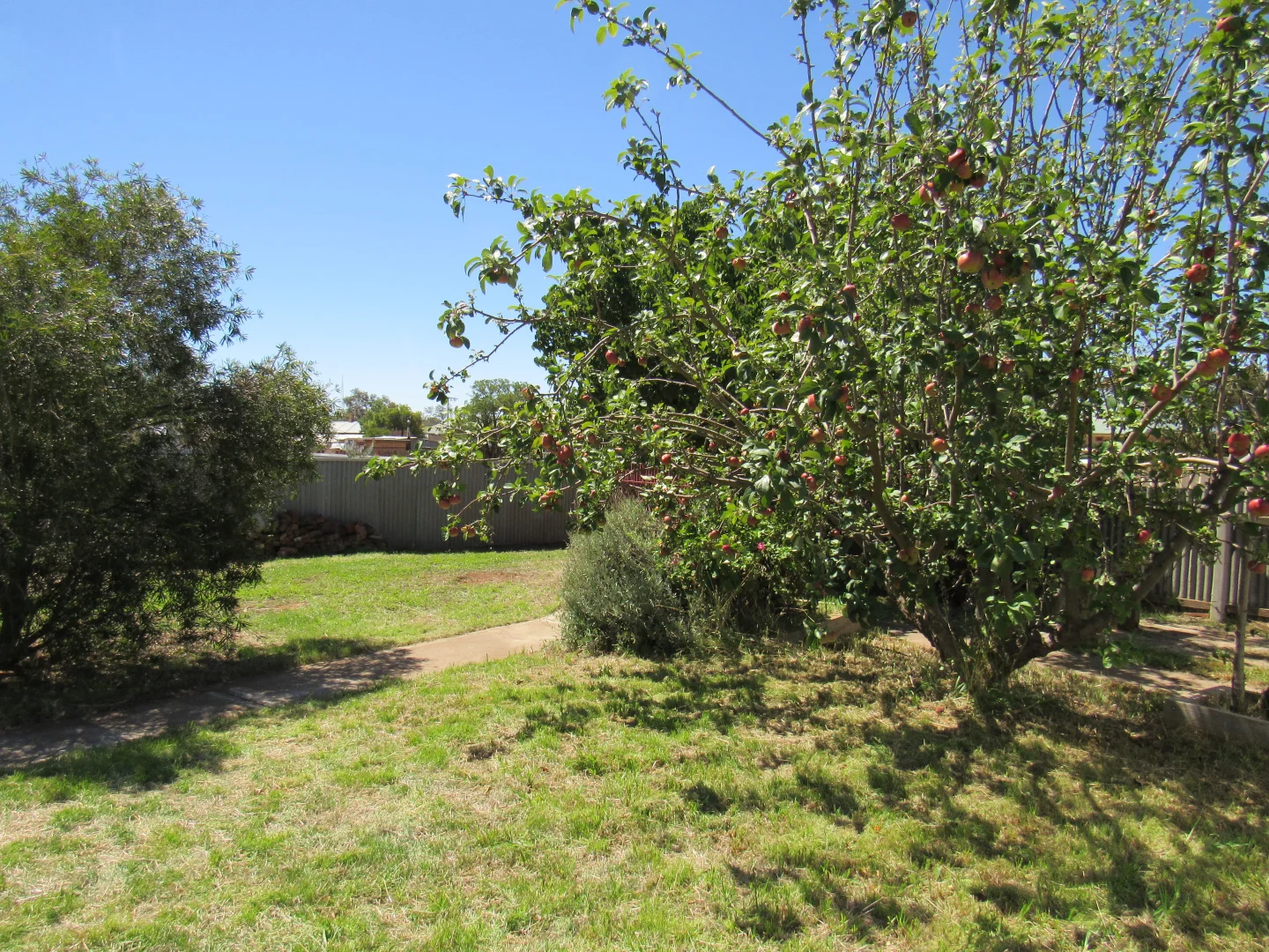 Additional image 22 of 8 Little Street, Peterborough SA 5422