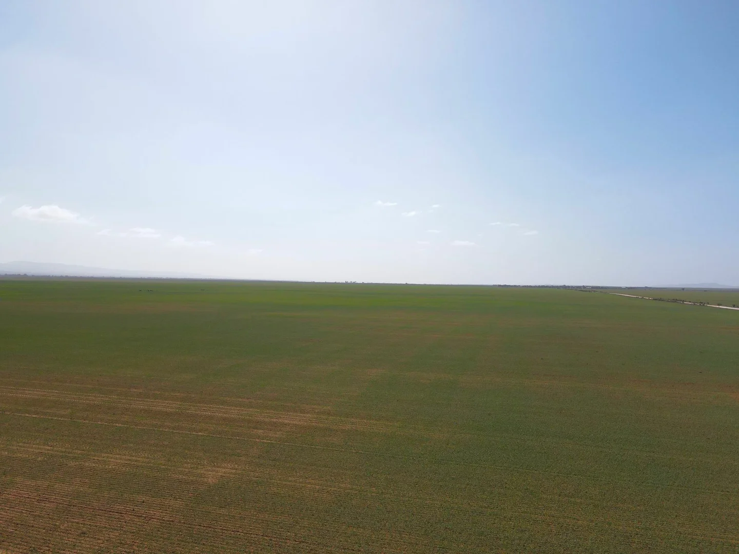 Additional image 4 of 'Daly's' Collins Road, Willowie SA 5431