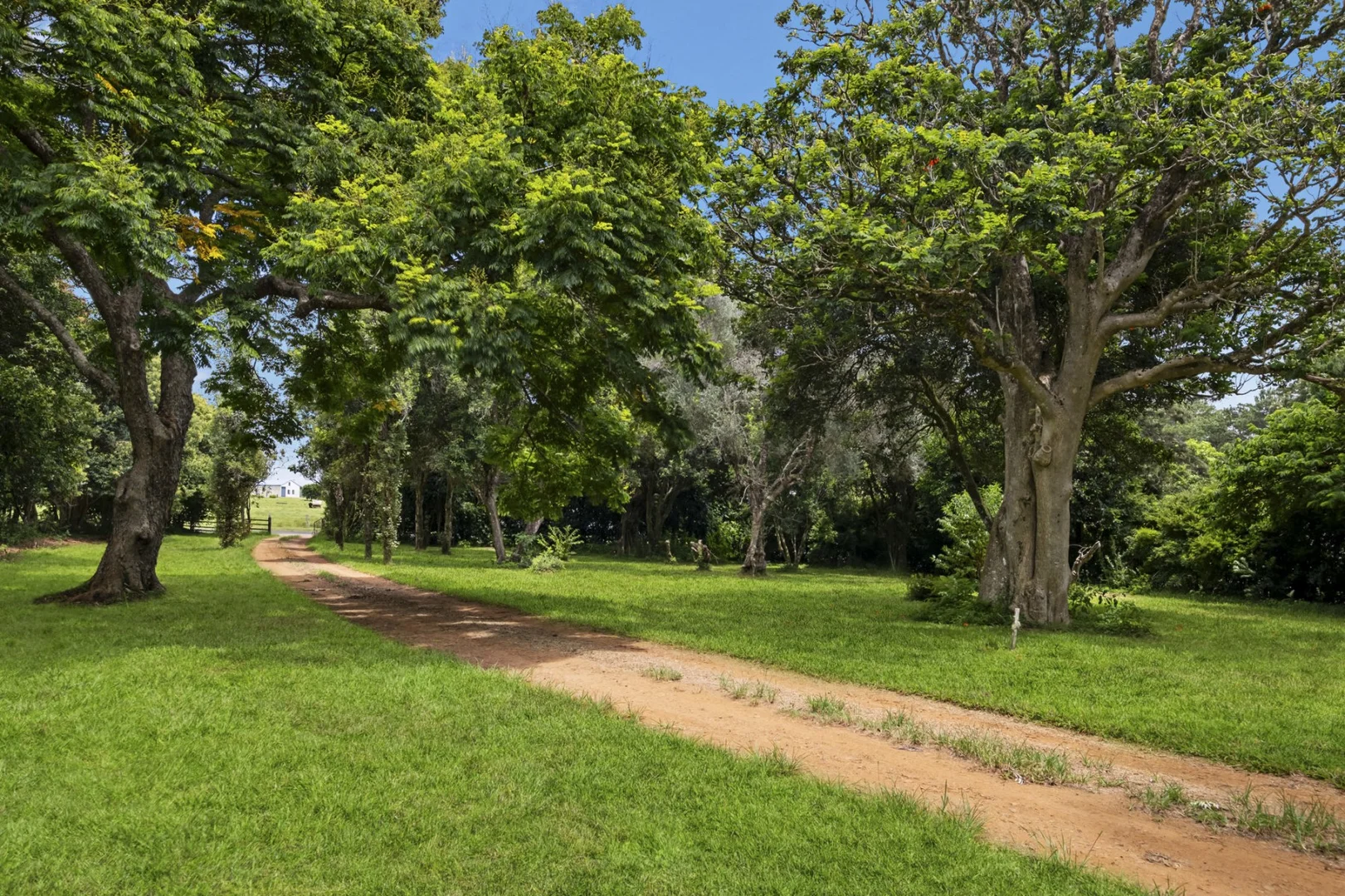 Additional image 22 of 120 Maleny Kenilworth Road, Maleny QLD 4552