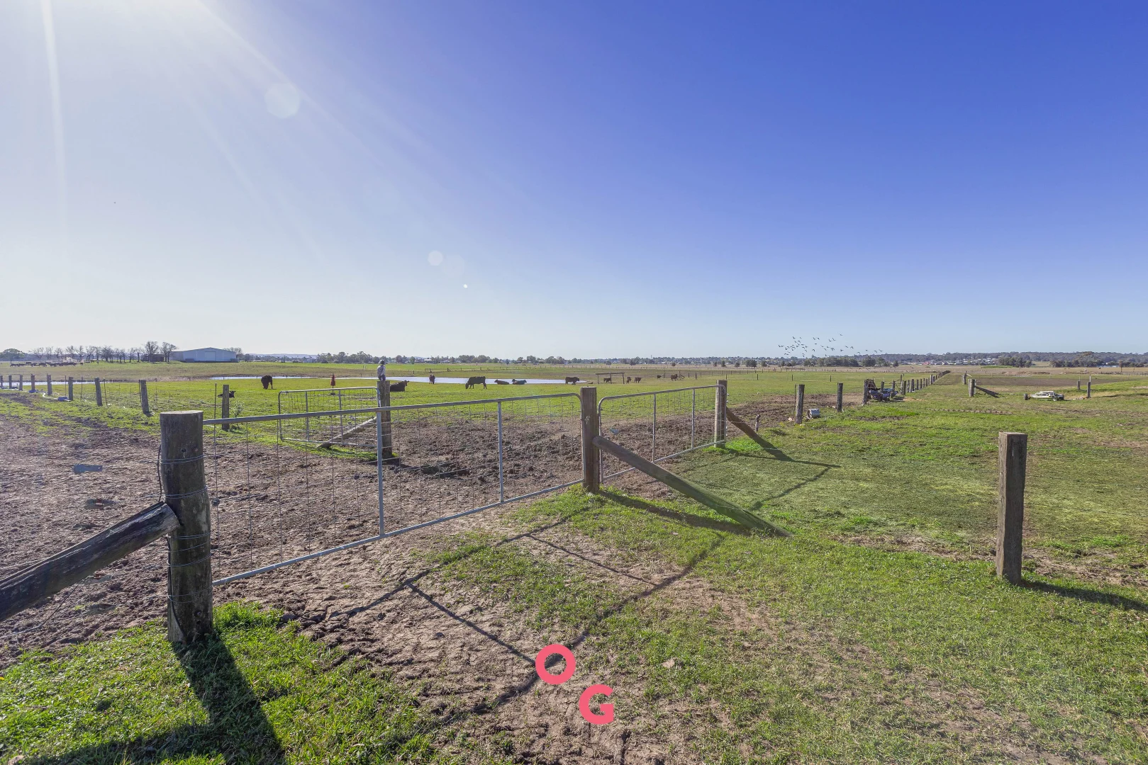 Additional image 28 of 322 Louth Park Road, Louth Park NSW 2320