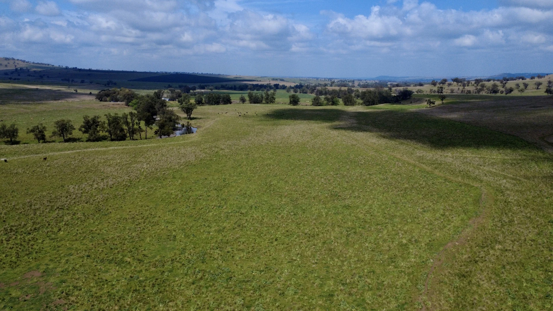 Additional image 16 of 955 "Wirringulla" Coulsons Creek Road, Merriwa NSW 2329