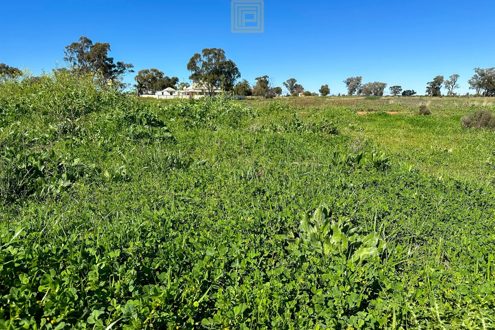 Additional image 28 of KOOREGAH STATION Yarrandale Road, Hermidale NSW 2831