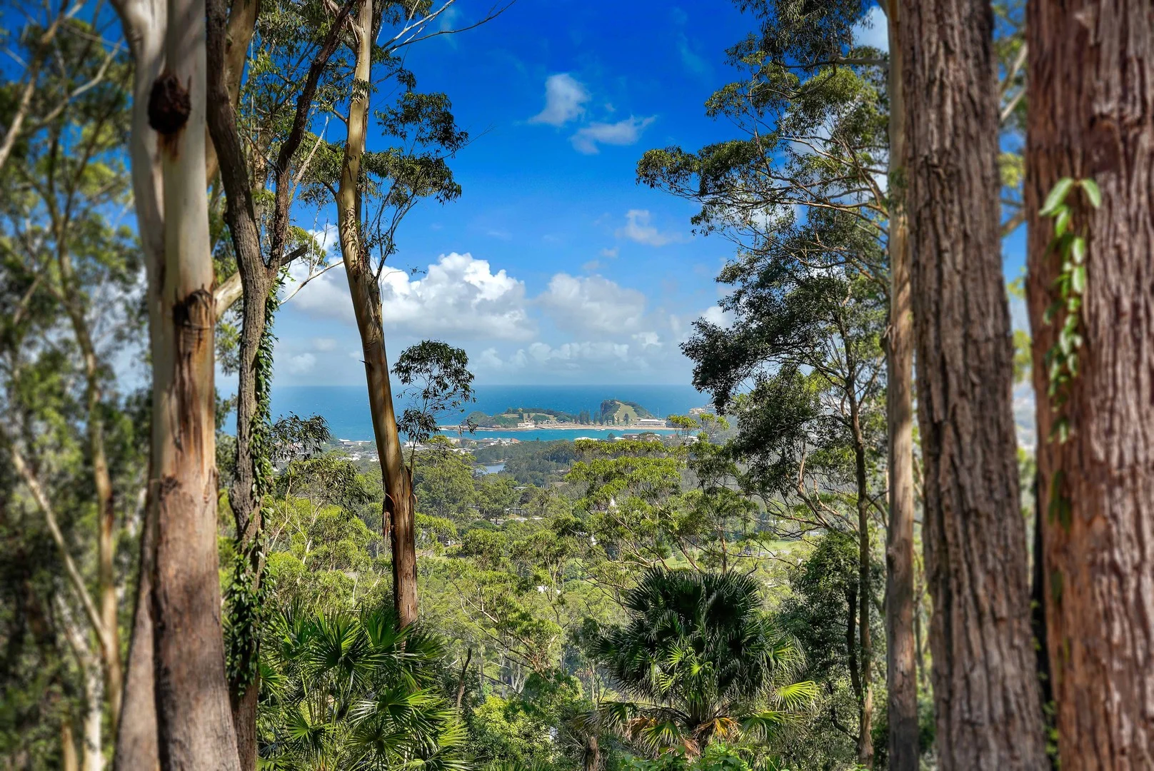 162 Matcham Road, Matcham NSW 2250