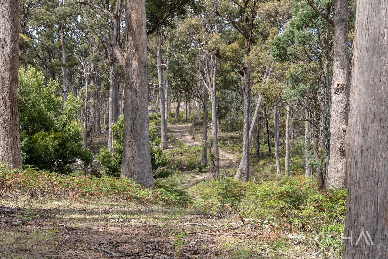Additional image 2 of English Town Road, Deddington TAS 7212