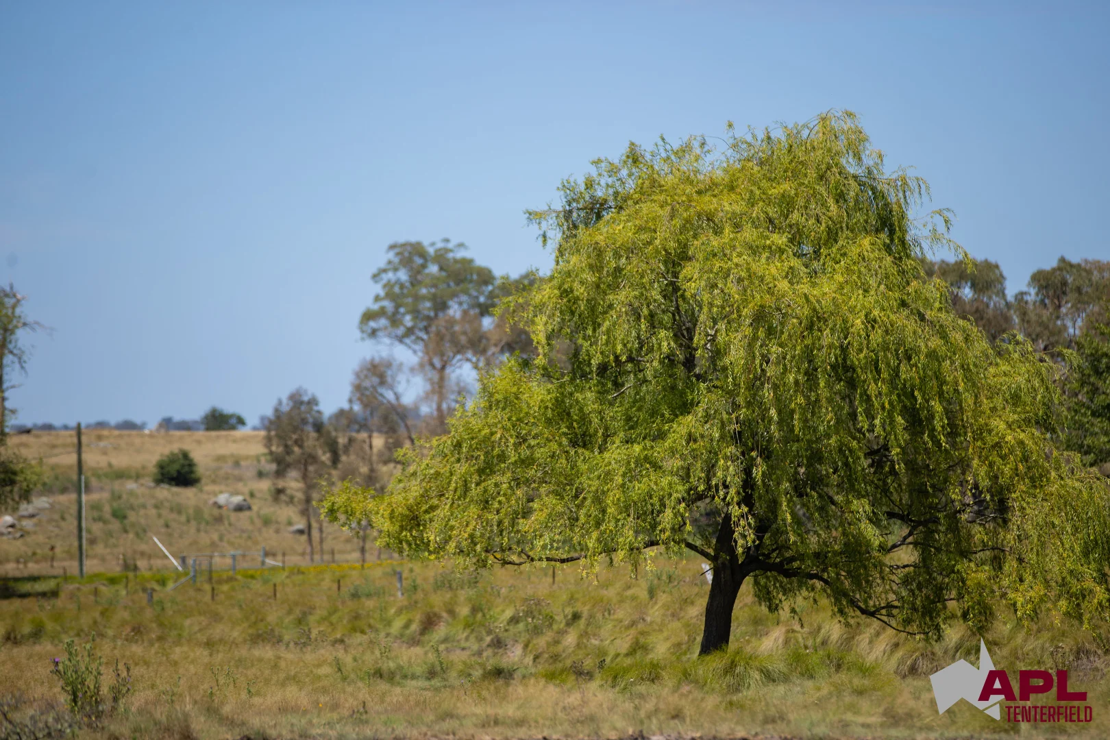 Additional image 13 of 210 Pelham Street, Tenterfield NSW 2372