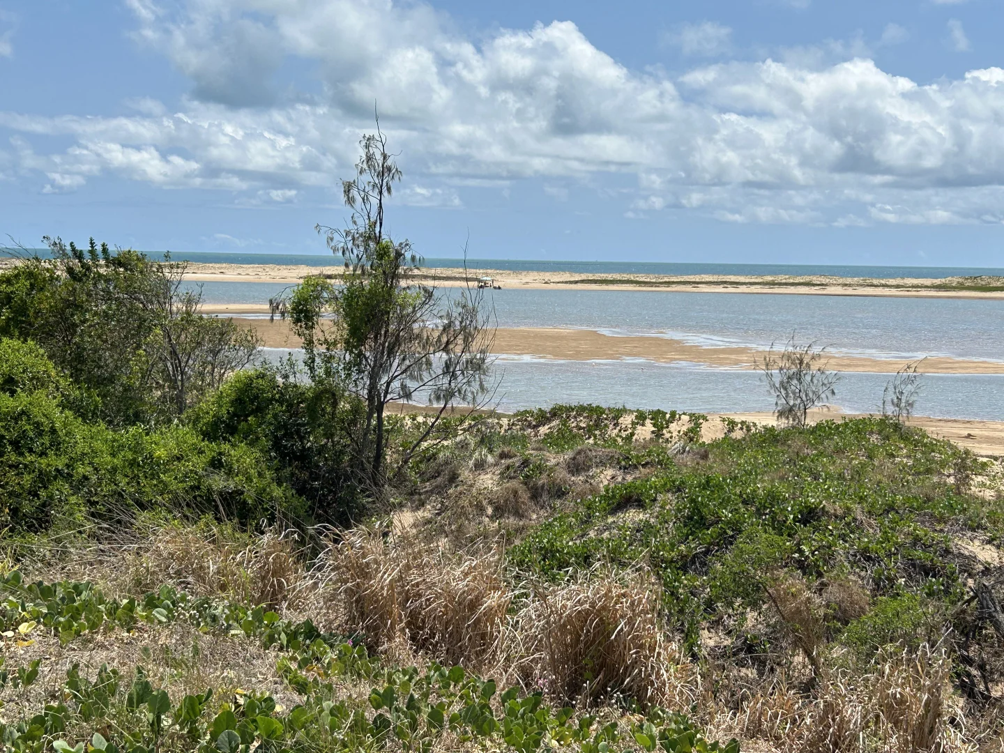 Additional image 50 of 39 Narrah Street, Alva QLD 4807