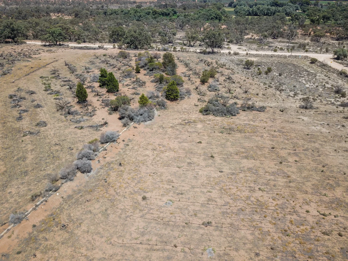 Additional image 4 of Section 66 Coats Road, Cadell SA 5321