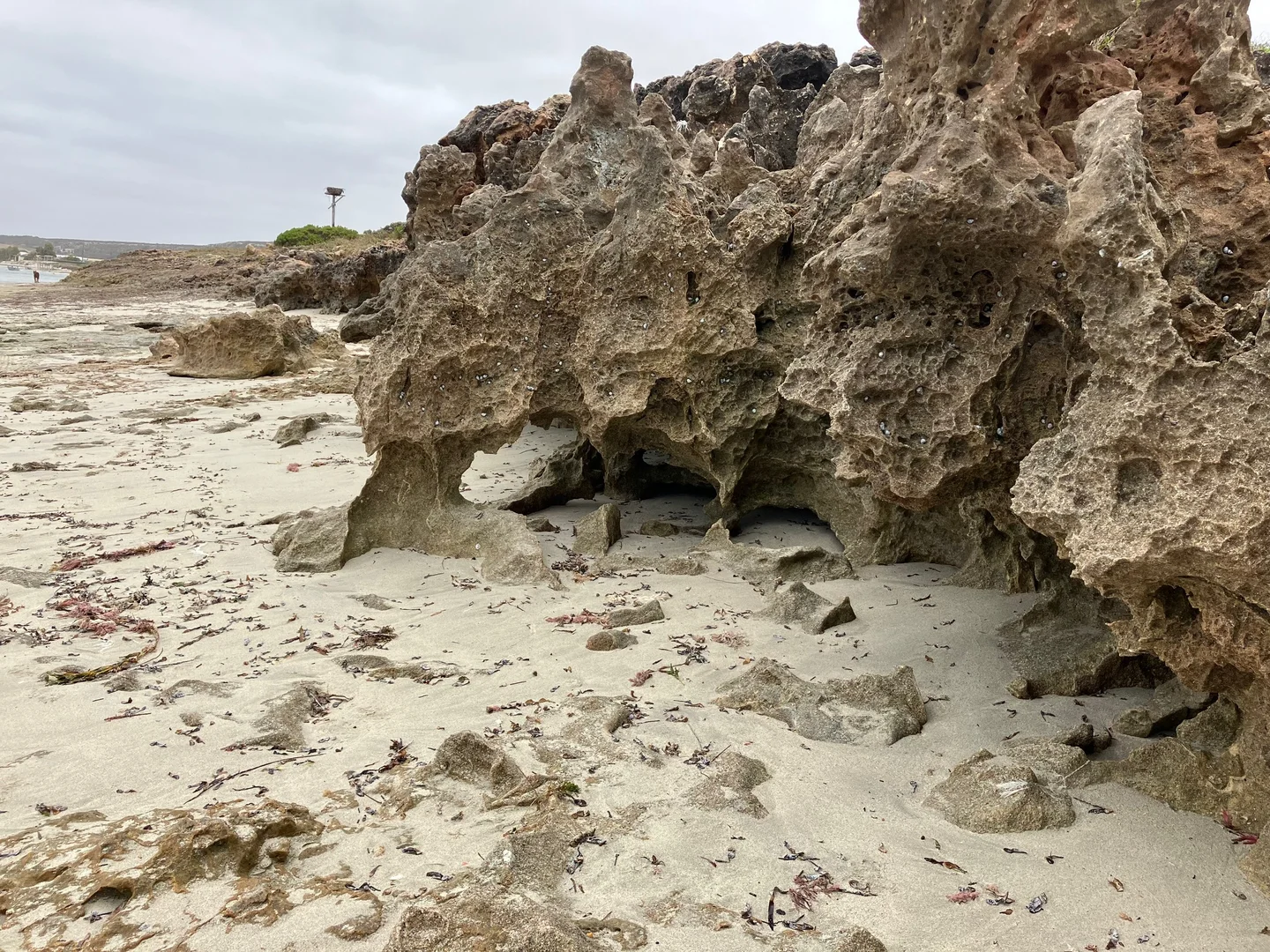 Additional image 33 of 18 Mitchell Street, Horrocks WA 6535