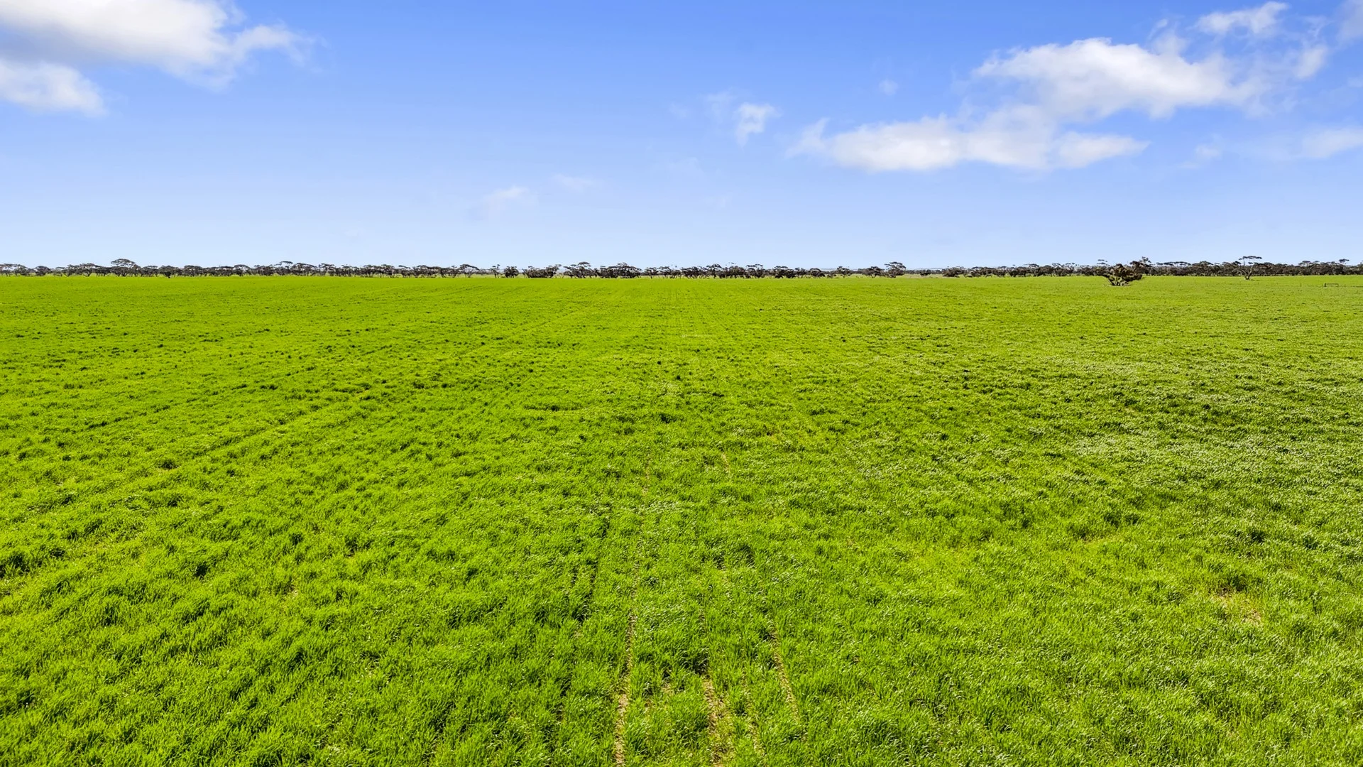 Additional image 3 of 378 Jones Road, Yumali SA 5261