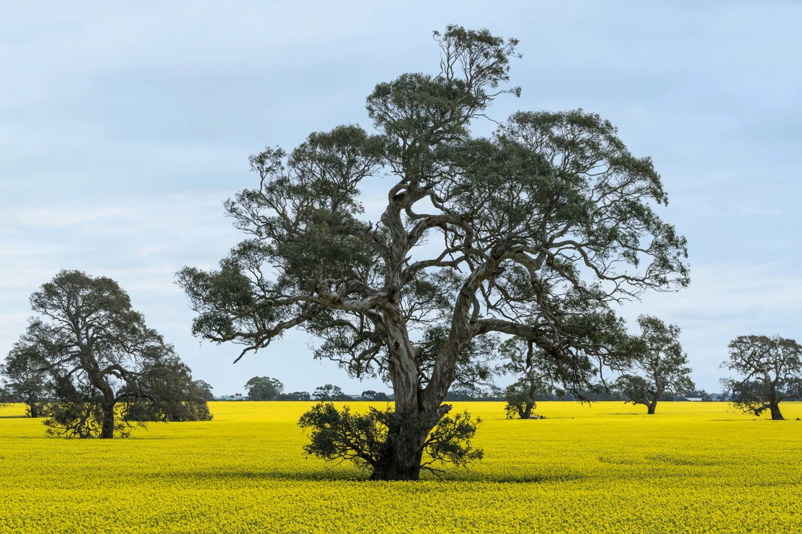 Additional image 4 of 36 Karmala Lane, Lake Bolac VIC 3351