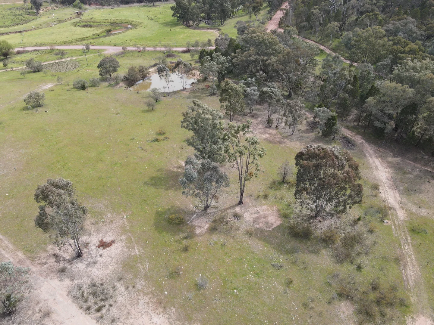 Additional image 23 of 1657 Kangarooby Road, Gooloogong NSW 2805