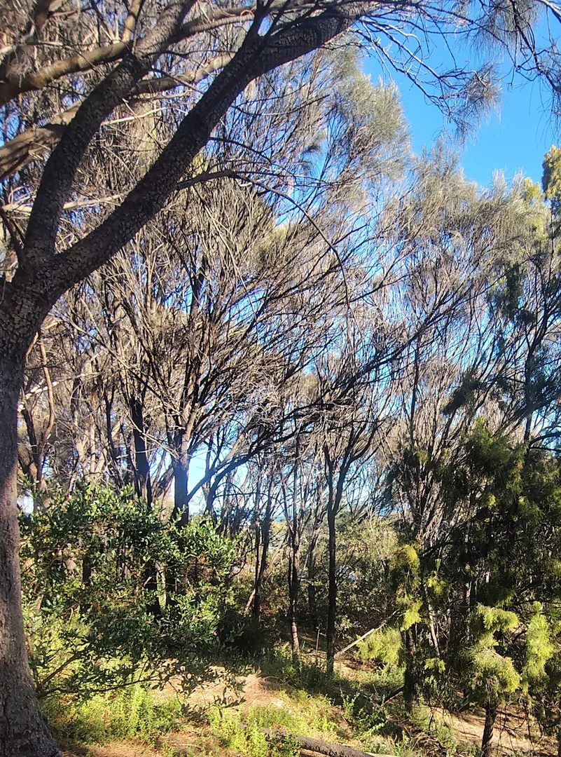 Additional image 10 of 12-14 Church street, Dodges Ferry TAS 7173