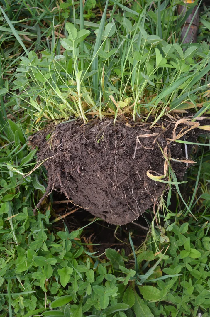 Additional image 8 of 1805 Manga Road, Kalangadoo SA 5278