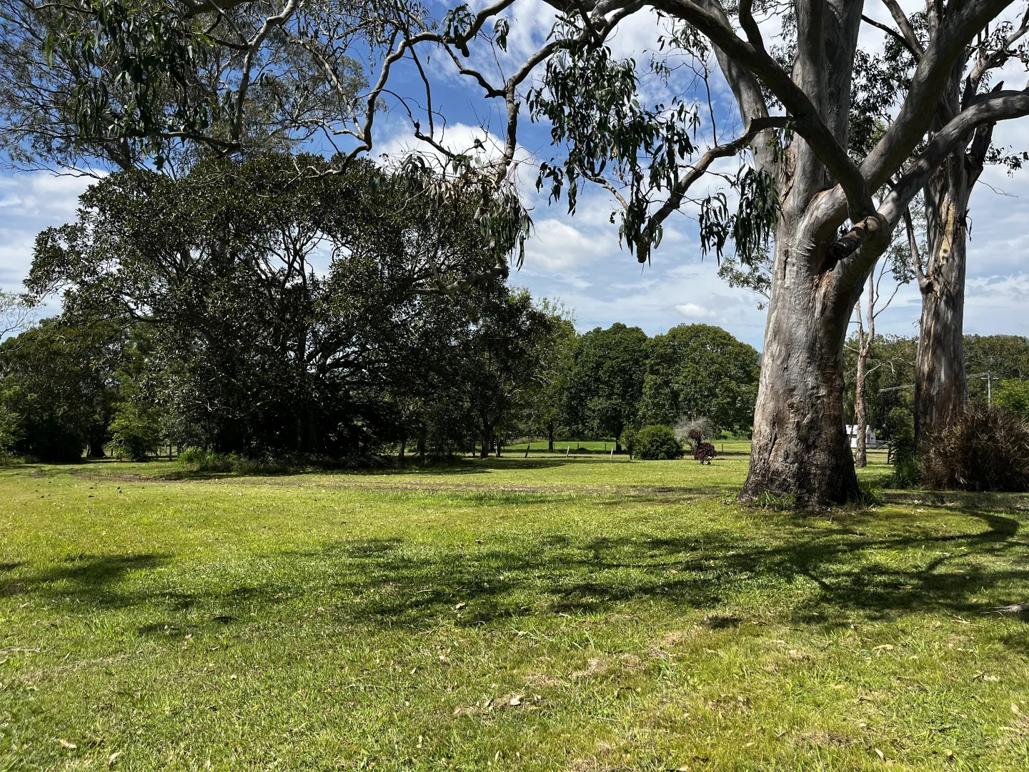 Additional image 28 of 124 Homestead Road, Kilgra NSW 2474