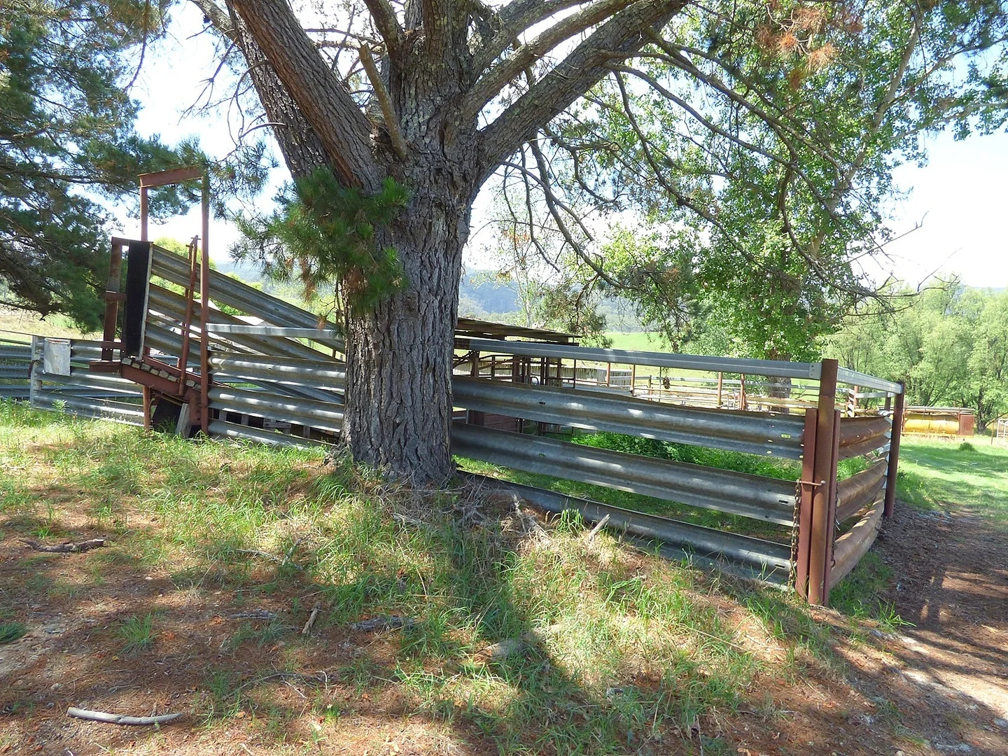 Additional image 36 of 2499 Towamba Rd, Towamba NSW 2550