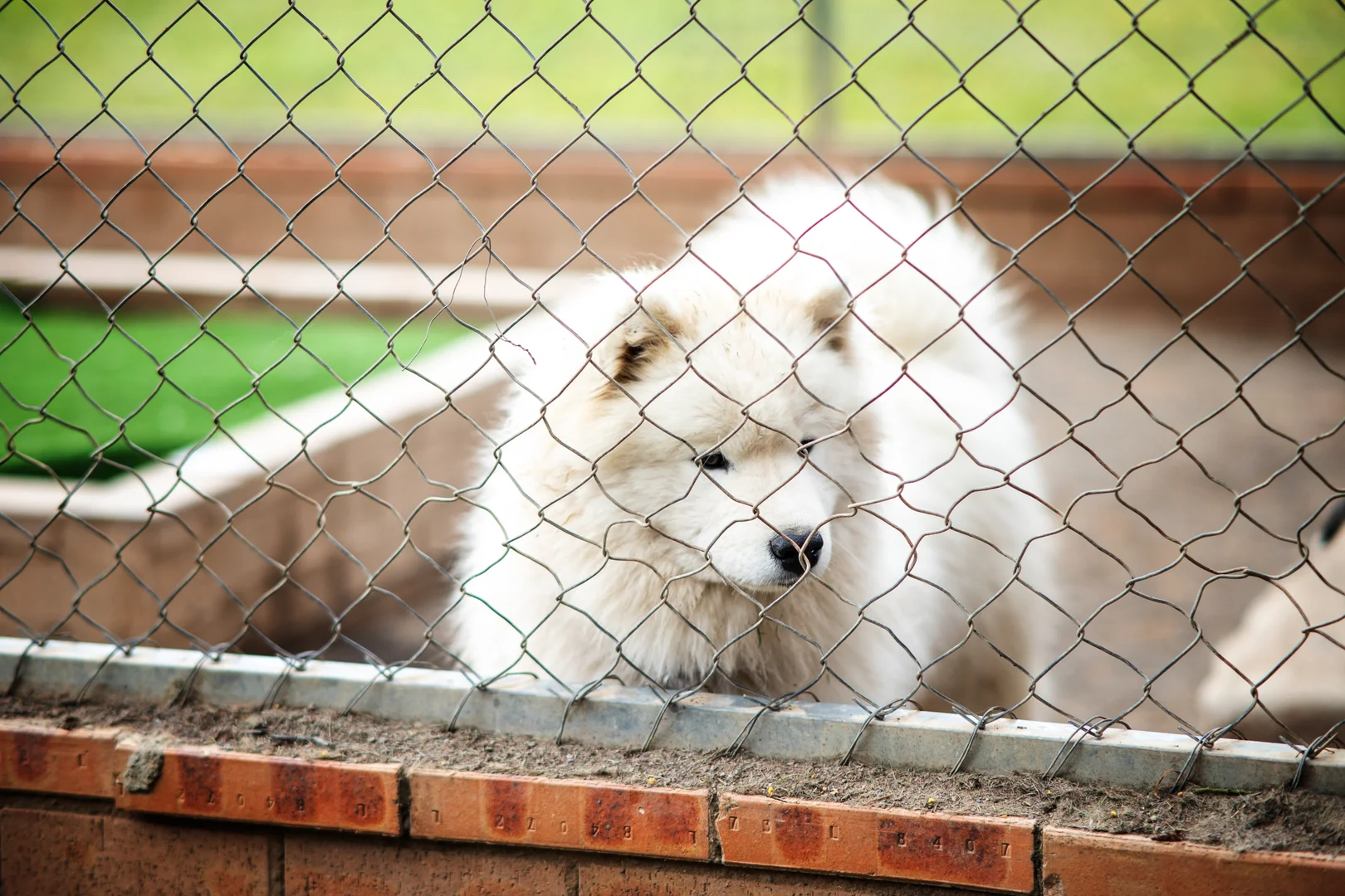 Additional image 44 of 297 Burden Drive, Oallen NSW 2622