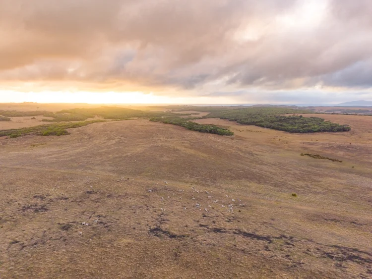 Additional image 10 of 582 Bluff Creek Road, Green Range WA 6328