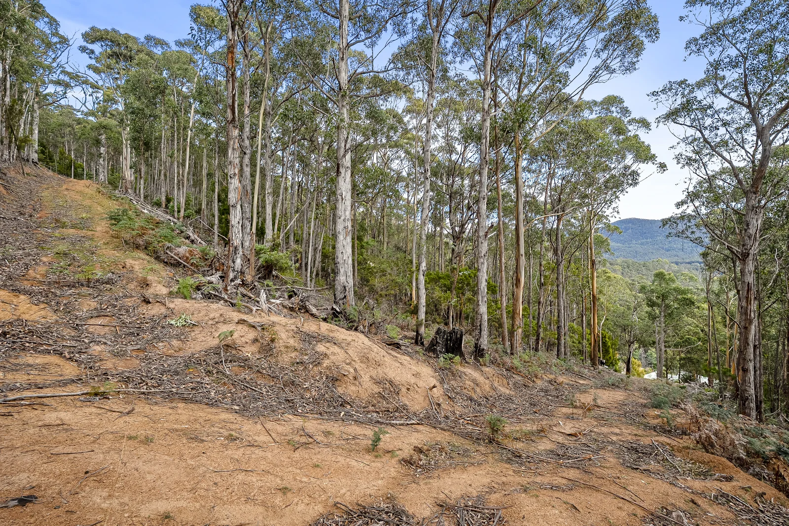 Additional image 14 of 35 Valley View Road, Margate TAS 7054