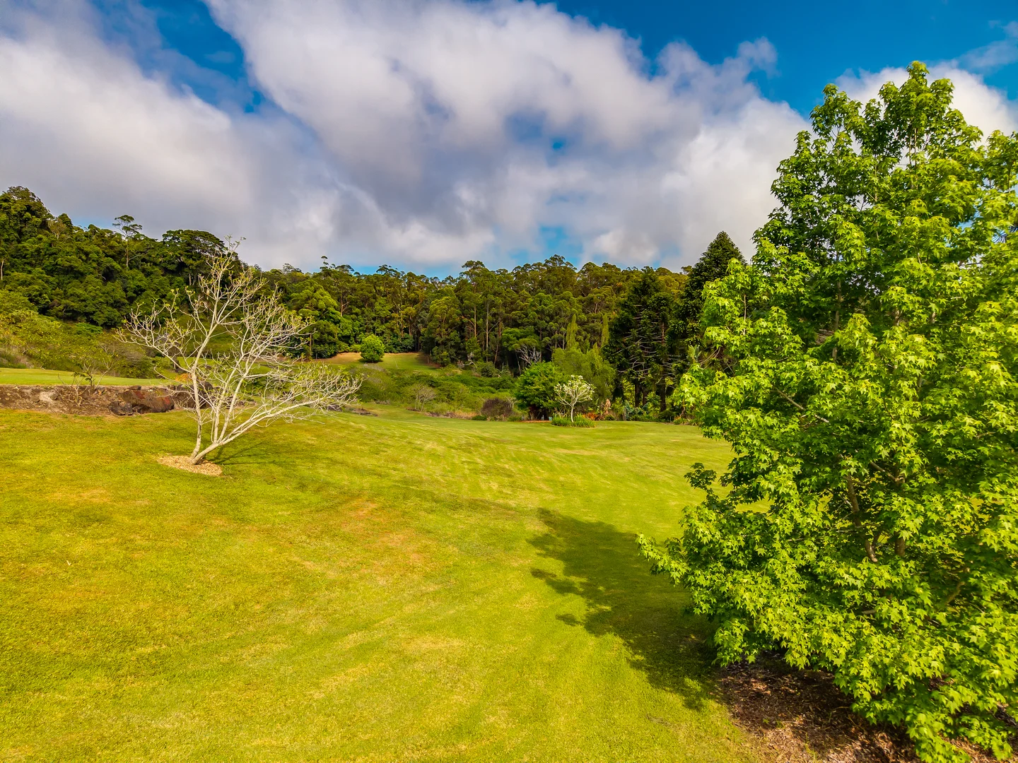 Additional image 14 of 195-275 Kaiser Road, Tamborine Mountain QLD 4272