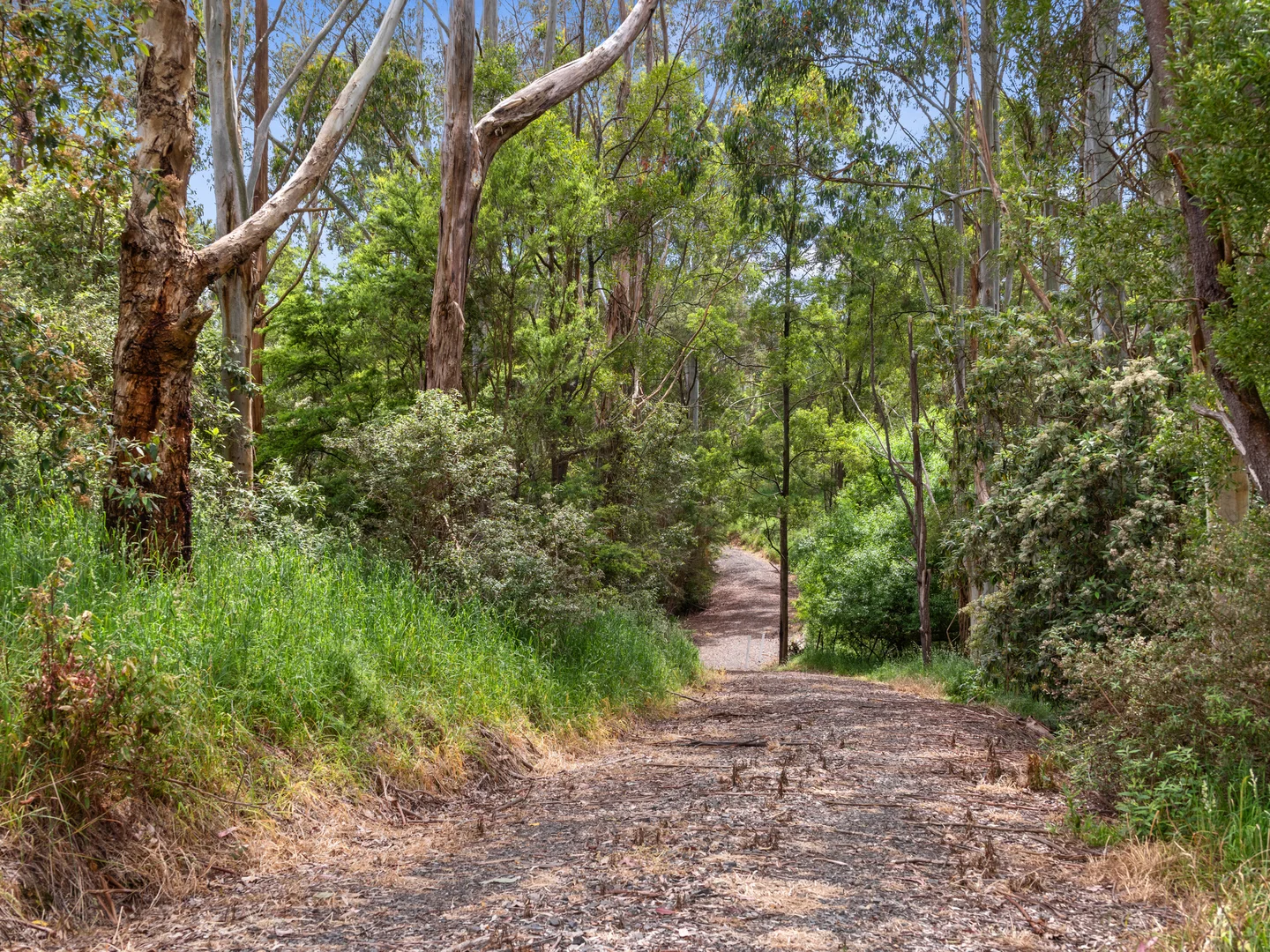 Additional image 9 of 1096 Grantville - Glen Alvie Road, Almurta VIC 3979