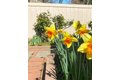 Additional image 13 of 130 Hartnell Pl, Sacramento, CA, 95825