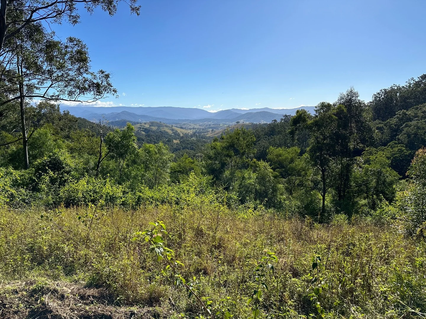 Additional image 3 of 129 Quartpot Creek Road, Dungog NSW 2420