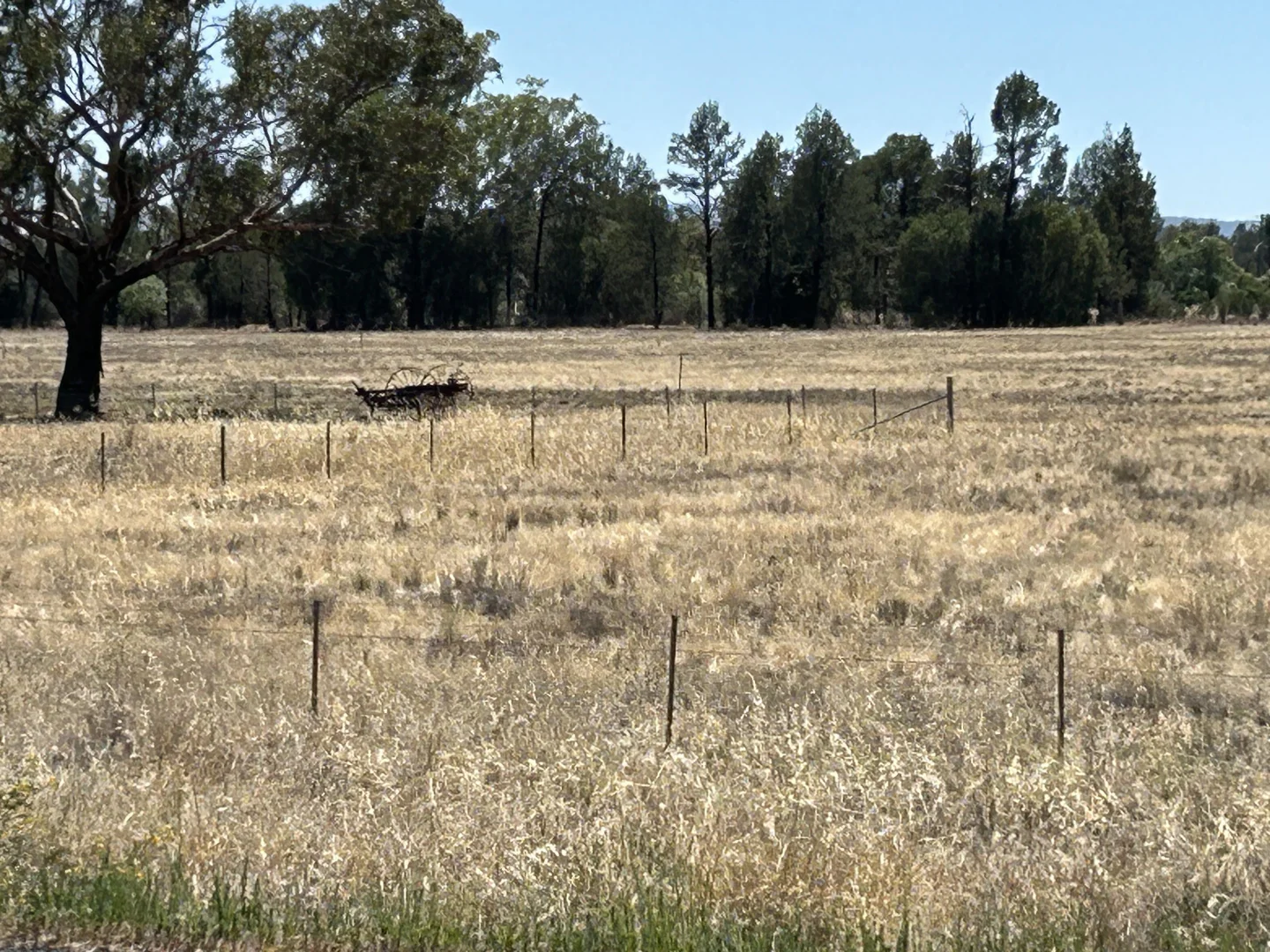 Additional image 6 of 48 FURNERS LANE, Trewilga NSW 2869